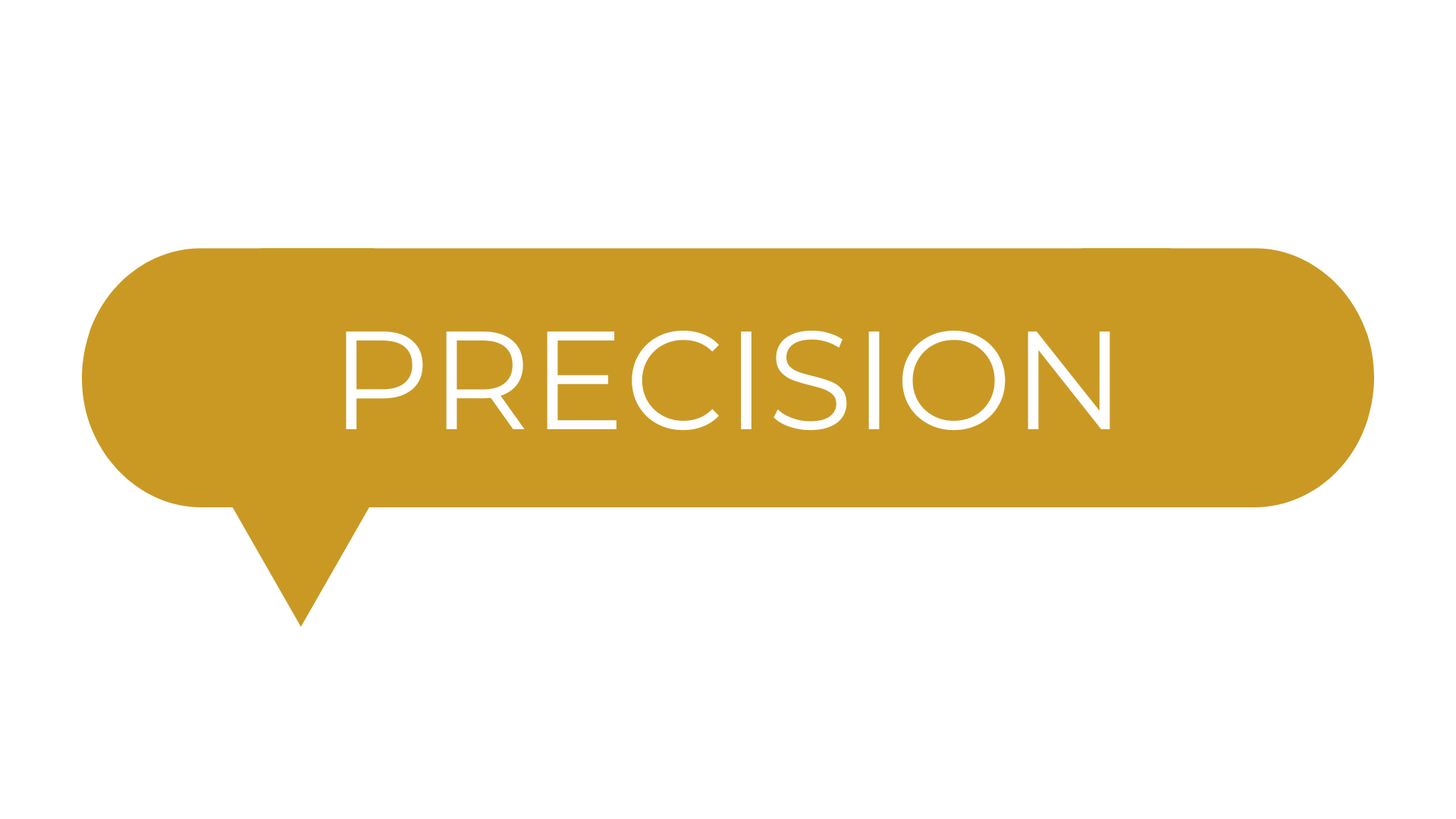 A word bubble graphic with the word "PRECISION" in white text on a gold background.